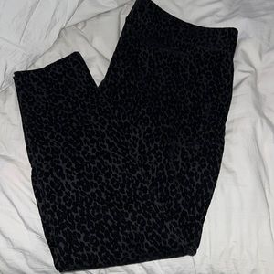 New leopard print ponte pants
